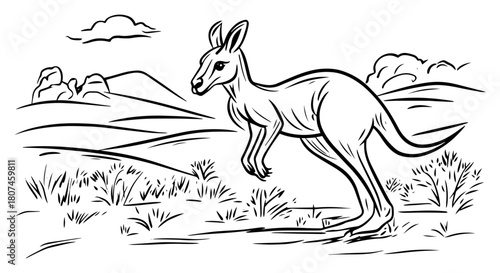 Kangaroo Bounding Across Australian Outback – Dynamic Wildlife Line Art
