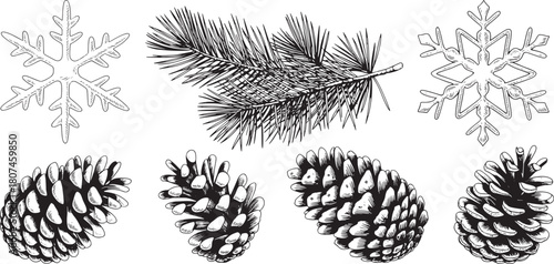 Winter seamless pattern with pine cones snowflake and pine branch illustration