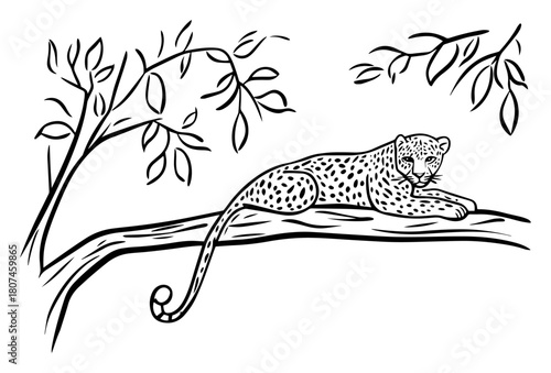 Leopard Resting on Tree Branch – Elegant Wildlife Vector Sketch