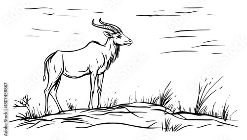 Majestic Antelope Standing on Hill – Hand‑Drawn Wildlife Vector Illustration