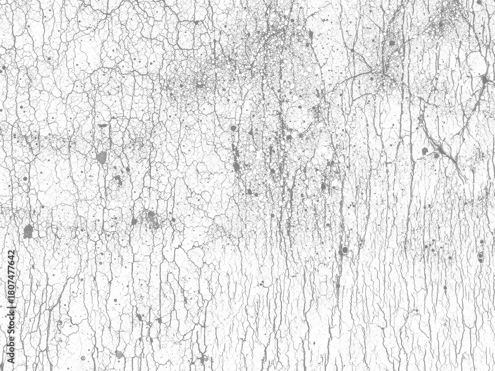 Fototapeta premium Distressed Plastisol Ink, Grunge Cracked Texture Overlay. For Retro T-shirt designs. Rough Dirty Worn Effect. Vintage Isolated Pattern.