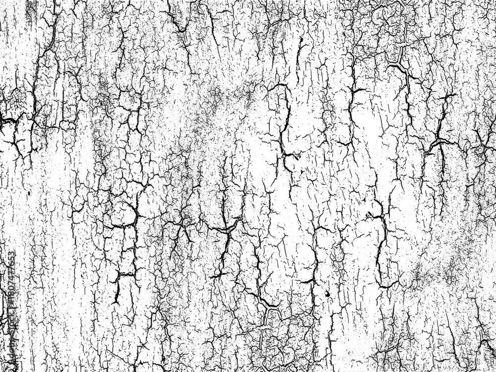 Obraz premium Distressed Plastisol Ink, Grunge Cracked Texture Overlay. For Retro T-shirt designs. Rough Dirty Worn Effect. Vintage Isolated Pattern.