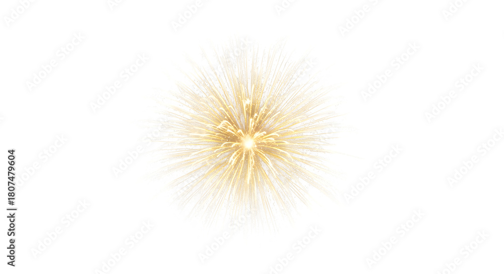Fototapeta premium Golden firework isolated on transparent background is a beautiful and festive way to celebrate any special occasion, such as a birthday, anniversary, or holiday, and it is a great way to add