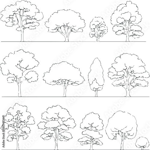 Create Minimal style cad tree line drawing, Side view, set of graphics trees elements outline symbol for landscape design drawing. Vector illustration in stroke fill in white