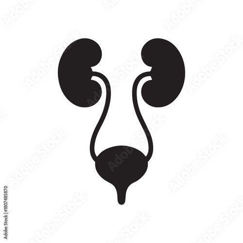 Human Kidney Anatomy Silhouette Icon – Medical Organ Vector for Healthcare, Anatomy Education, and Infographic Designs