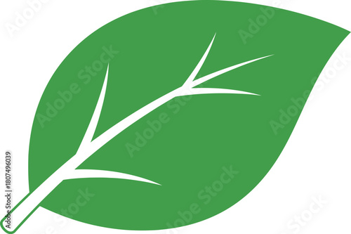 Vibrant green leaf symbolizing nature growth freshness and eco-friendly concepts isolated object for sustainable design and health themes isolated on white background