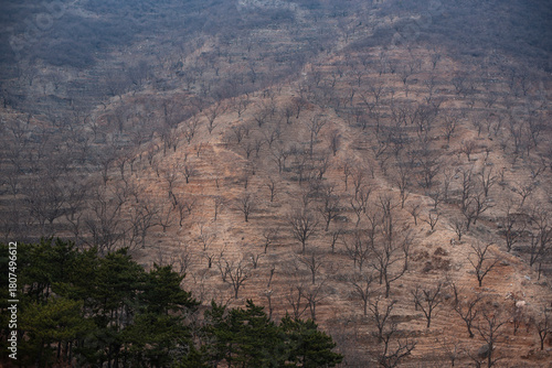 hill close to the great wall of china 