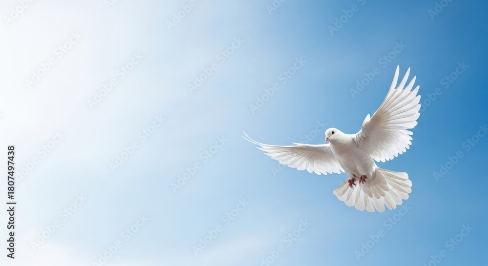 Fototapeta premium Graceful White Dove Flying in Blue Sky with Spread Wings