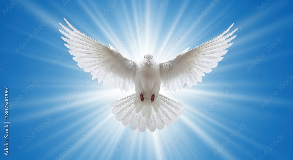 Fototapeta premium Majestic White Dove Soaring in Blue Sky with Divine Sunburst
