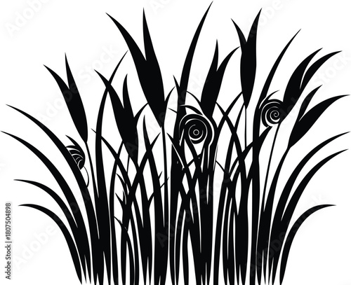 artistic curled grass silhouettes.eps