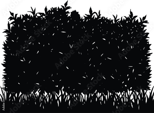 dense hedge bottom grass silhouette.eps