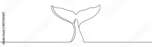 A continuous one-line drawing of a whale's tail, emerging from an imagined water line against a white background