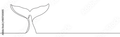 A continuous one-line drawing of a whale's tail, emerging from an imagined water line against a white background