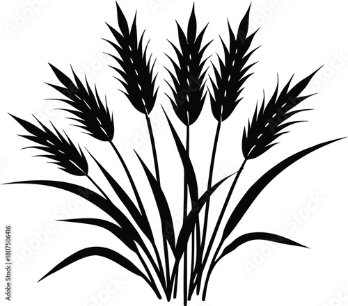 grass with long seed plumes silhouette.eps