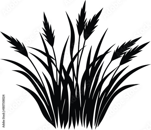 wispy gentle grass silhouette.eps