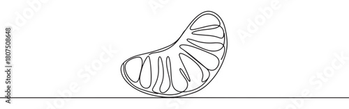 A continuous one-line drawing of a single peeled orange segment, highlighting its natural curves against a clean white background
