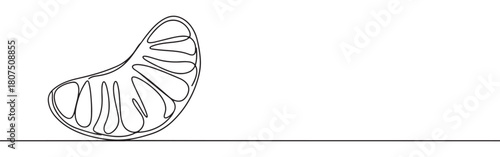 A continuous one-line drawing of a single peeled orange segment, highlighting its natural curves against a clean white background