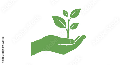 Nurturing green plant seedling growing in open hand symbolizing growth eco-friendly future and sustainable development agriculture hope isolated on white background
