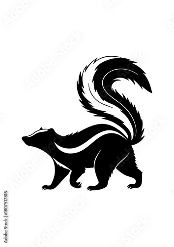 Skunk Animal Silhouette Vector
