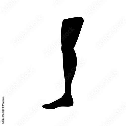 Human leg silhouette graphic vector illustration outline Vector, illustration