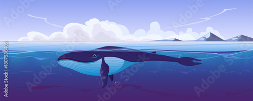 A whale swimming in the open sea. Humpback blue whale in cartoon style. Underwater world, nature and environment, waves and ocean, coastline, mountains, clouds above the horizon. Vector illustration.