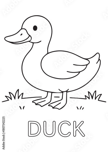 Coloring book cute duck standing on grass, ideal for early childhood coloring.