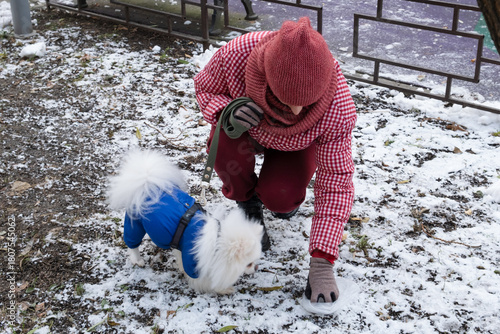 Responsible woman cleaning up dog waste with plastic bag in snowy park, urban pet hygiene, environmental cleanliness, or civic duty lifestyle themes