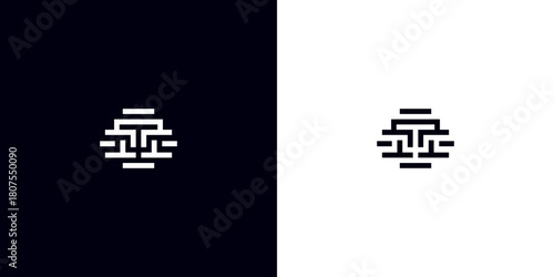 A minimalist and innovative TT initials logo. A creative and elegant upper and lower TT monogram. A premium business logo icon. White on a black and white background. TT