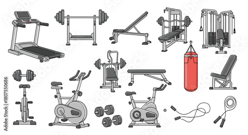 Extensive collection of various modern gym and fitness equipment for a complete body workout.