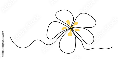 continuous line drawing of Plumeria flowers. Single-line art tropical plant hand drawing Plumeria flowers vector illustration.