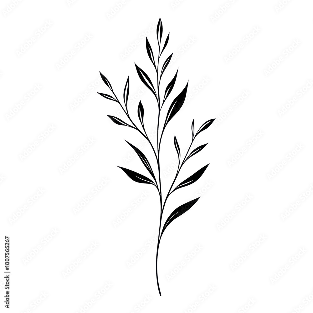 Fototapeta premium PNG Hand drawn a Fireweed wildflower art botanical plant.