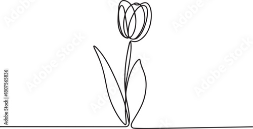 Tulip one line drawing. Abstract flower continuous line. Minimalist contour drawing of tulip. Continuous line drawing of flower tulip.one line icon with with white background