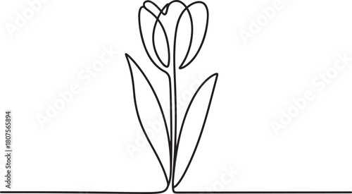 Tulip one line drawing. Abstract flower continuous line. Minimalist contour drawing of tulip. Continuous line drawing of flower tulip.one line icon with with white background