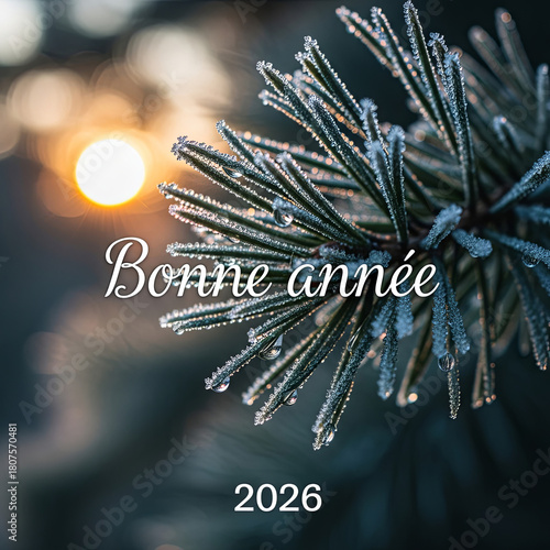 Lever de soleil hivernal sur branche de pin givrée, atmosphère paisible et festive pour souhaiter une bonne année 2026


