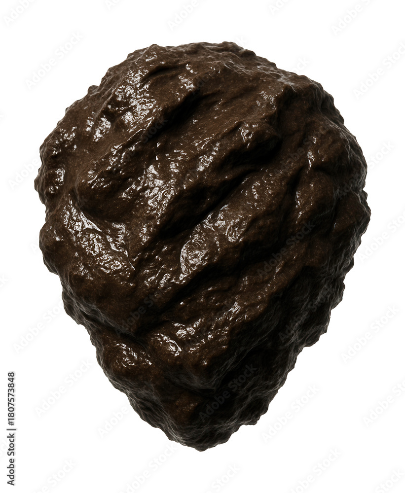 Obraz premium Dark brown, sticky estuarine mud sample.