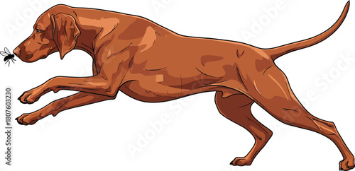 Vizsla Dog in Action with Insect Vector Illustration Playful Breed in Motion