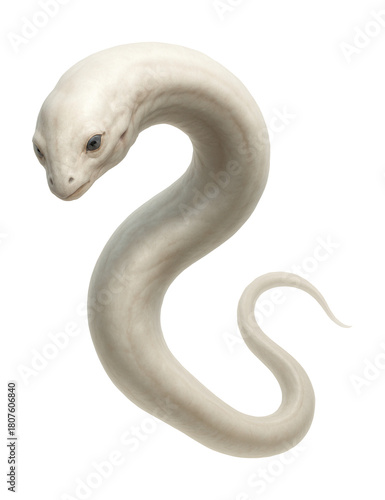 Pale, elongated creature with diminished eyes.