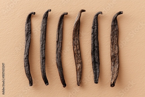 Wallpaper Mural Minimalist flat lay of six uneven vanilla pods arranged artistically on a soft beige background, showcasing their unique textures and colors for culinary inspiration Torontodigital.ca