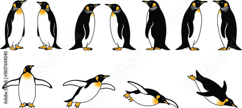 Cartoon penguin vector set with playful poses, walking, sliding, diving actions, black and white animal illustrations