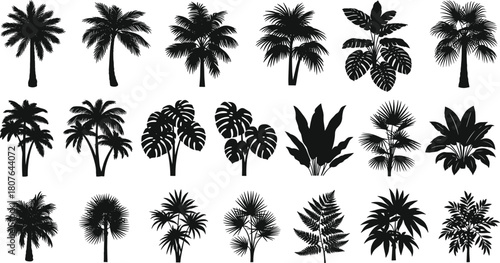 Collection of 21 tropical and palm tree silhouettes with diverse leaf shapes for botanical, landscape, and vector design use.