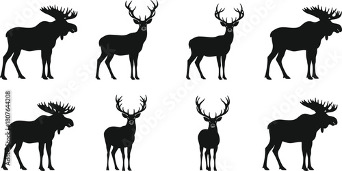 Moose and deer silhouette vector set with antler variations, wildlife icons, forest animals, black illustration for nature themes