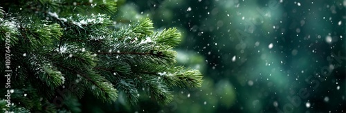 Snow Falls Gently on Evergreen Branches in a Serene Winter Landscape