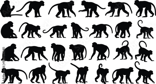 Silhouettes of twenty-five monkeys in diverse poses including climbing, sitting, walking, and crouching for vector animal illustration.