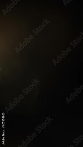 A stunning, ethereal light transition: Vertical Glory light leak On black background. Best for luxurious portrait visual storytelling.
