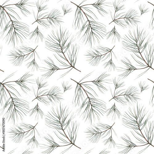 Pine Branches Pattern . Watercolor illustration, drawing for fabric.