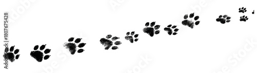 Curving trail of black animal paw prints isolated on a white background.