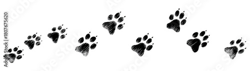 A trail of black animal paw prints on a white background.