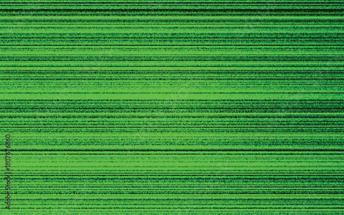 Abstract Neon Green Background with Horizontal Static and Noise Effect