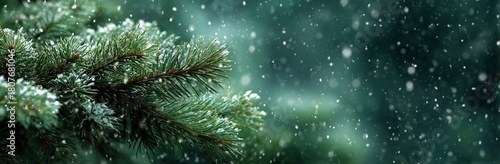 Snow Falls Gently on Evergreen Branches in a Serene Winter Landscape