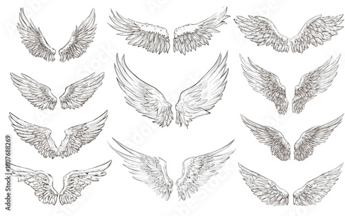 A Diverse Collection of Hand Sketched Angel Wings Illustrations.